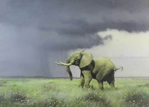 Ignatius Marx - Elephant and the storm - A magnificent investment painting! - 94cm x 68cm - Bid now!