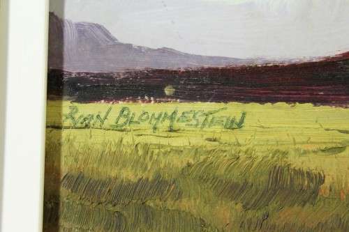 Peter van Blommestein - Expansive landscape - Beautiful! Get it now!!