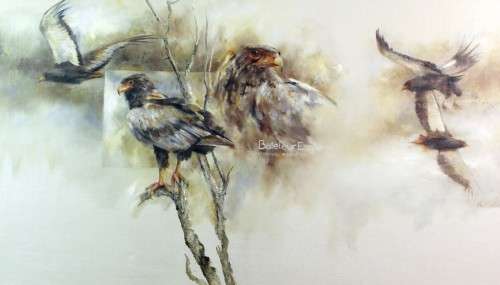 Vic Guhrs - Bateleur Eagle - A stunning oil painting! Invest now!! 100cm x 57cm - Bid now!