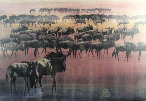 Gordon Vorster - Wildebeest - A real stunner!! 86cm x 59cm - Bid now!!