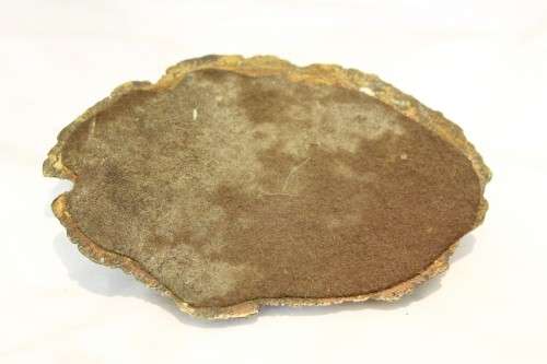 Keith Calder - Blue crane on nest - Magnificent!! Bid now!!