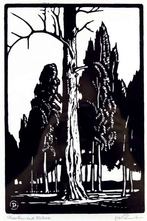 Pierneef - Treestem and  Furtrees - A beautiful photo lithograph!! Bid now!