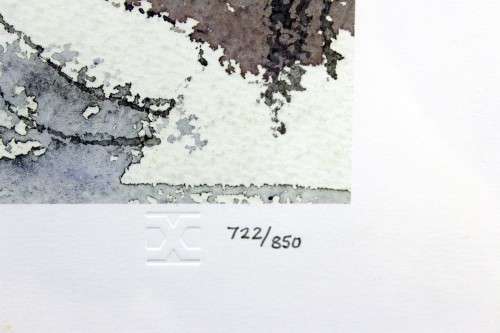 Gregoire Boonzaier  - Cape street scene - A beautiful signed litho print! Giveaway price, bid now!