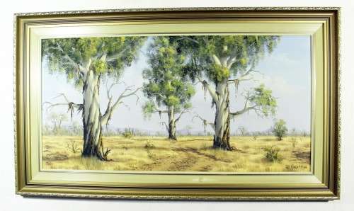 Rob MacIntosh - Eucalyptus trees in a landscape - A beautiful painting!! Bid now!