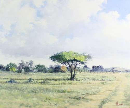 Louis Audie - Thorn tree in a landscape!! Investment art! Bid now! *Free courier!