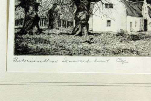 Andre Naude - Shea Wine Cellars, Somerset West, Cape - An absolute stunning etching!! Bid now!!