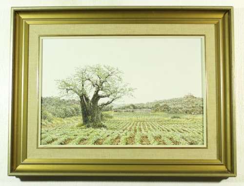JH Coetzee - Baobab tree in the field - A beautiful painting!! Bid now!
