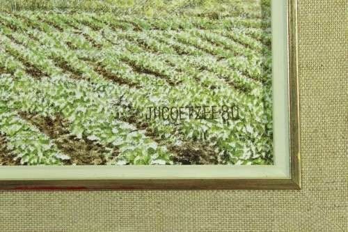 JH Coetzee - Baobab tree in the field - A beautiful painting!! Bid now!