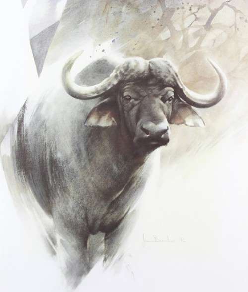 Joan Beuche - Buffalo - A beautiful framed print!! - Giveaway price! - Bid now!!