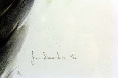 Joan Beuche - Buffalo - A beautiful framed print!! - Giveaway price! - Bid now!!