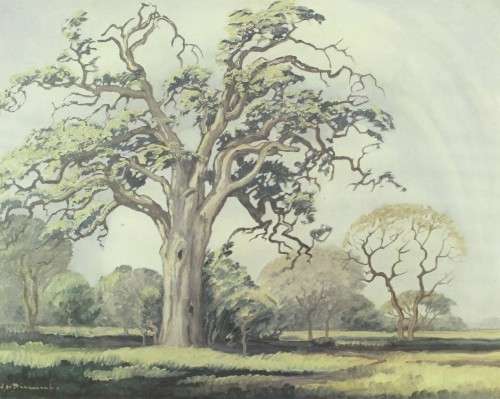 Pierneef - Iconic scene - A beautiful print!! Bid now!