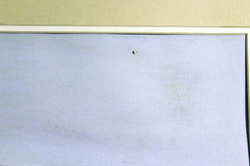 E Thompson - Sand dunes - A beautiful pastel - Giveaway price! - Bid now!!