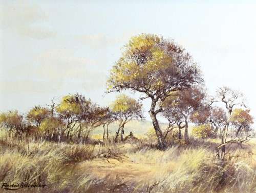 Francois Badenhorst - Trees in the veld - A beautiful painting!!  - Bid now