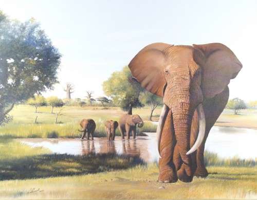 Claude Boswell - Elephants - Magnificent large beauty!! - Stunning art!! - Low price!! - Bid now!