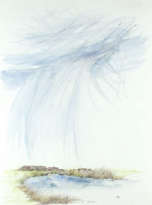 Bowen R Boshier - Linyanti River Rain - A beautiful watercolor! Bid now!