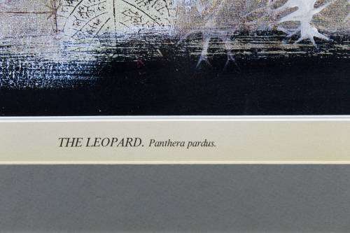 Keith Joubert - Limited edition lithoprint - The Leopard - Offered at a low price!! Bid now!