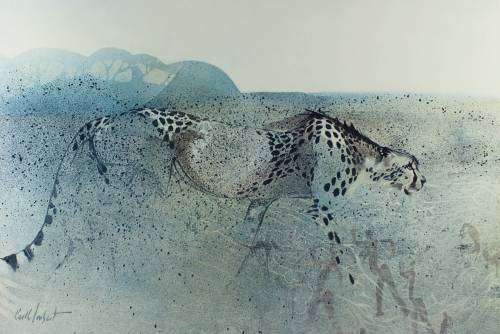 Keith Joubert - Limited edition lithoprint - Cheetah - Offered at a low price!! Bid now!