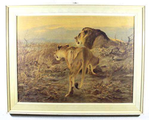 George Majewicz - Tanganyika - A beautiful oliograph! - Bid now!