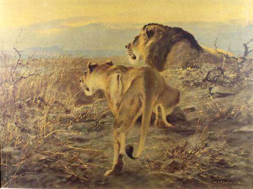 George Majewicz - Tanganyika - A beautiful oliograph! - Bid now!