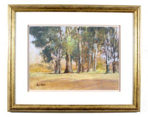 Paul Botes - Tall Trees - Beautiful!! - Bid now!