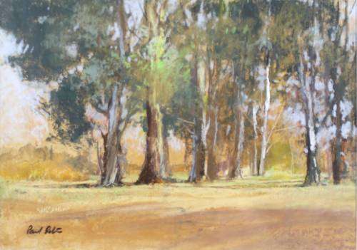 Paul Botes - Tall Trees - Beautiful!! - Bid now!