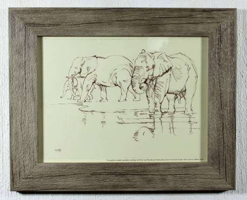 Zakkie Eloff - Elephants