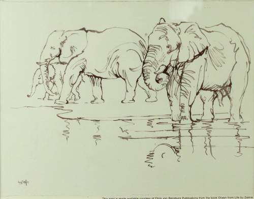 Zakkie Eloff - Elephants