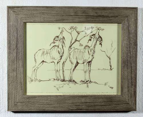 Zakkie Eloff - Bucks Grazing - Gorgeous! - Bid now!!