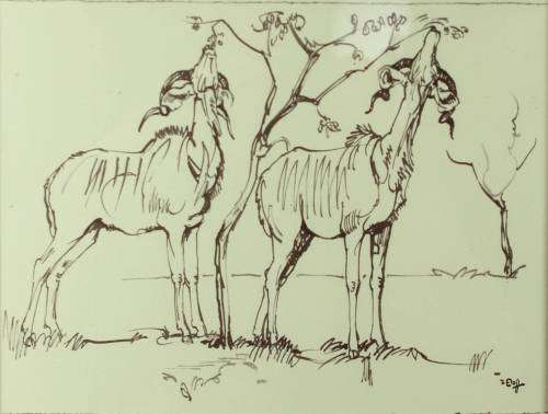 Zakkie Eloff - Bucks Grazing - Gorgeous! - Bid now!!