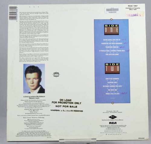 Rick Ashley - Whenever you need somebody - LP - A treasure from 1987 - Bid now!!