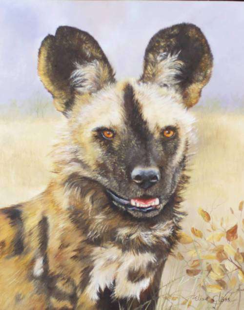 Elise Gloss - Wild dog - A stunning painting! Low price, bid now!!
