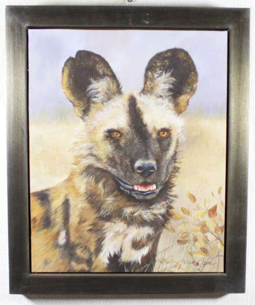 Elise Gloss - Wild dog - A stunning painting! Low price, bid now!!