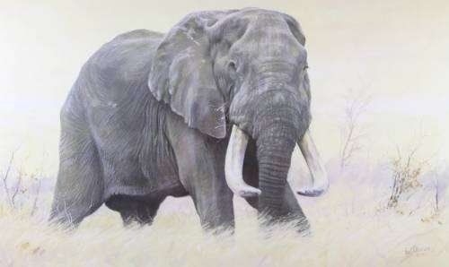 Paul Bosman - Dzombo - Limited edition print - A true classic piece!! Bid now!