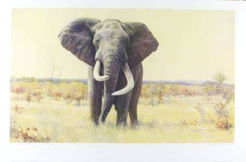 Paul Bosman - Ndlulamithi - Limited edition print - A true classic piece!! Bid now!