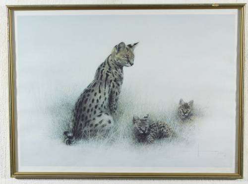 Henk Vos - Serval cat and cubs - A beautiful print!! Bid now!