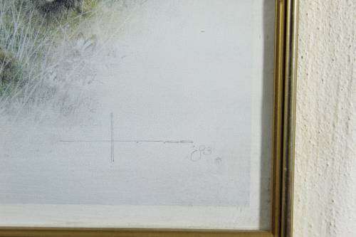 Henk Vos - Serval cat and cubs - A beautiful print!! Bid now!