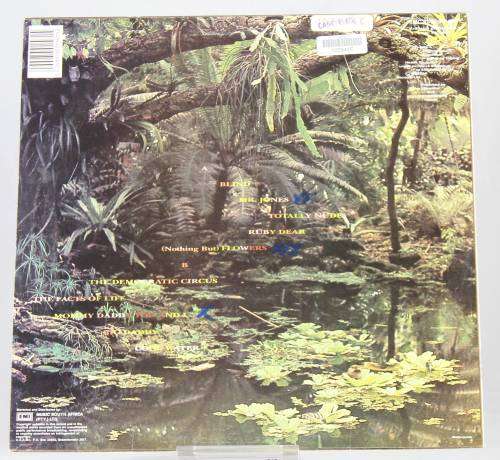 Talking Heads - Speaking in tongues/Naked/Slippery people - 3 LP's - Treasures from 1983 to 1988