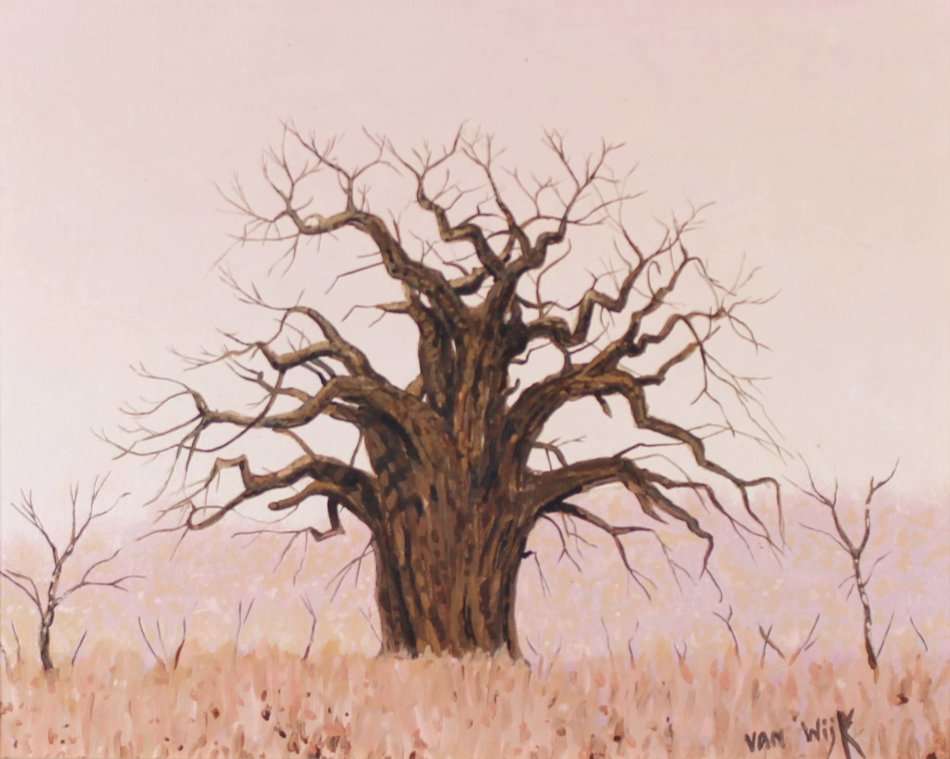 Chris van Wyk - Baobab tree - A small treasure! - Beautiful! Get it now!!