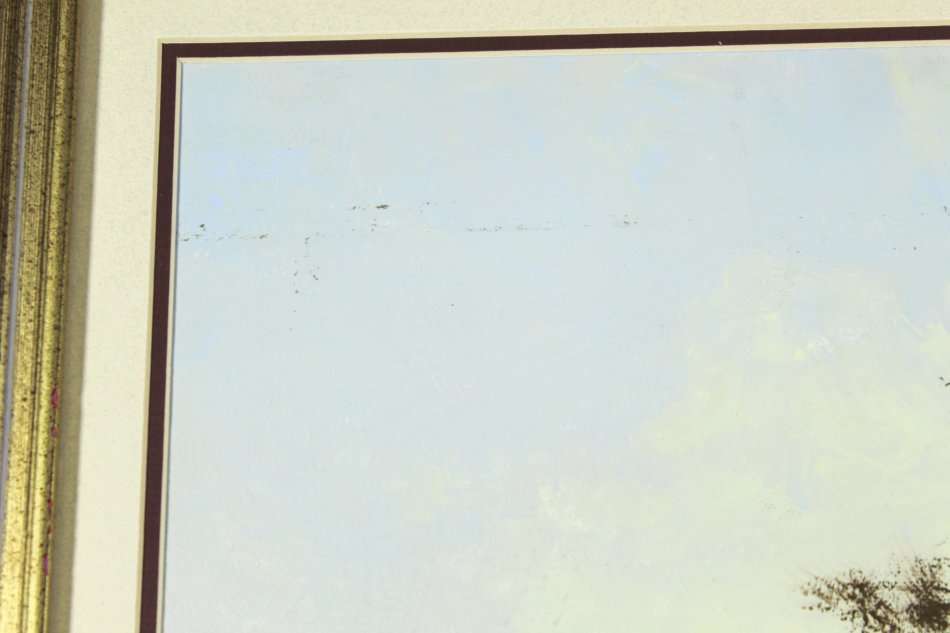 Gerrit Roon - Tree in a landscape - Beautiful art! - Bid now!!