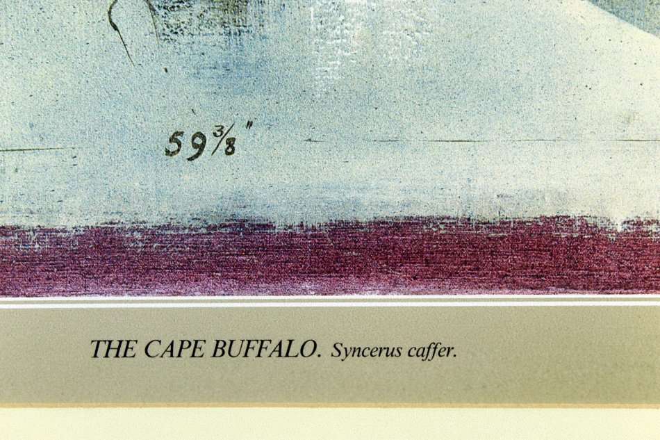 Keith Joubert - Limited edition lithoprint - The Cape Buffalo - Offered at a low price! Bid now!