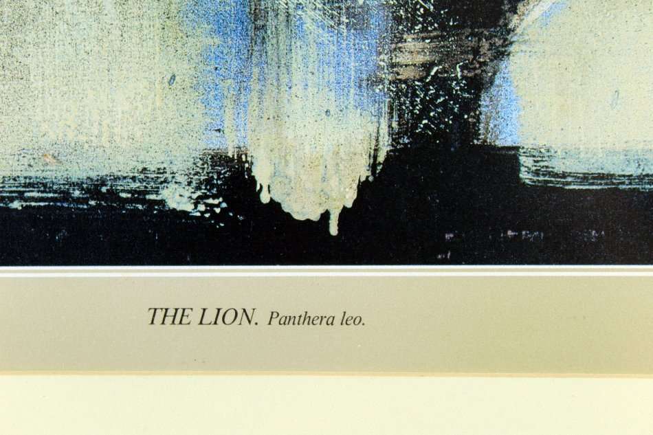 Keith Joubert - Limited edition lithoprint - The Lion - Offered at a low price! Bid now!