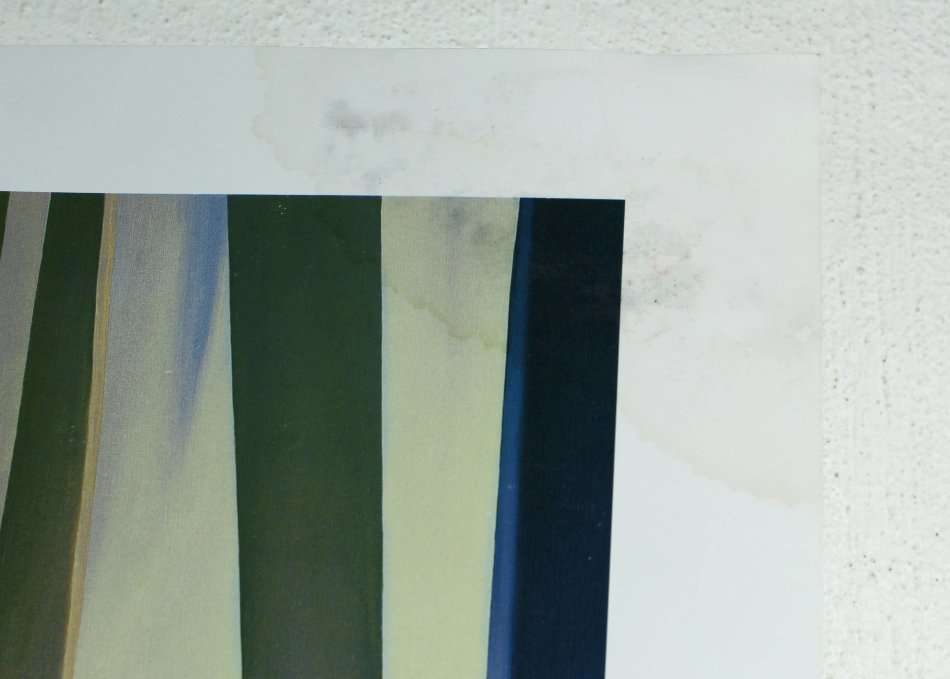 Poster - Alice Dalton Brown - McGaw Foundation - Beautiful! - Bid now!!