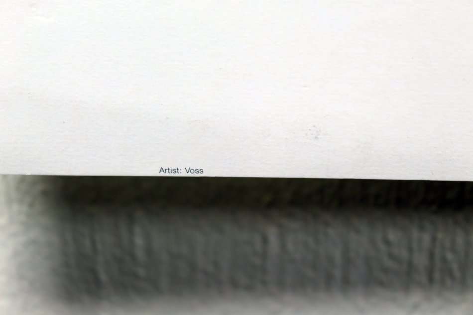 Poster - Voss - Abstract - Beautiful! - Bid now!!