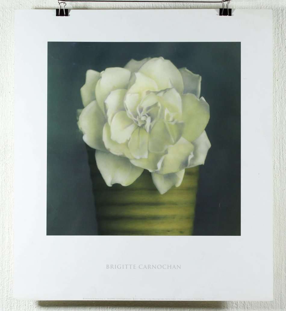Poster - Brigette Carnochan - Gardenia in Yellow Pot - Beautiful! - Bid now!!
