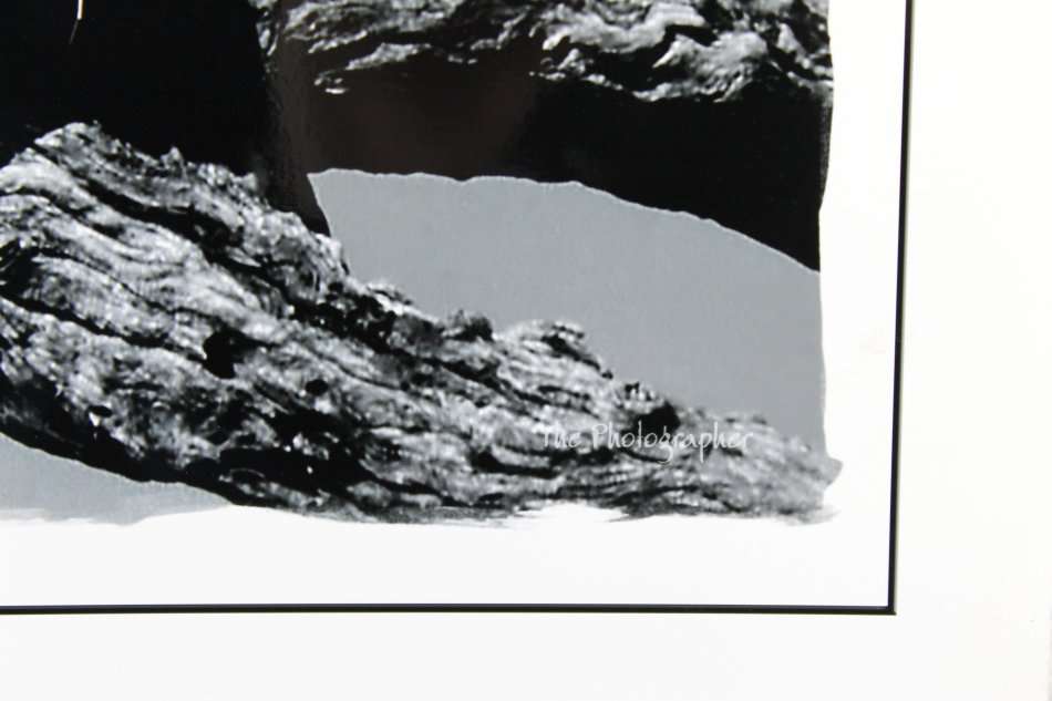 The Photographer - Photograph - Eagle - Beautiful! - Bid now!!