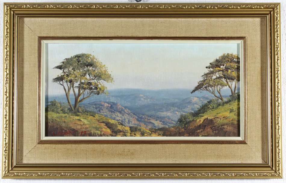 L Repsold - Valley view - A stunning little treasure!! - Bid now!