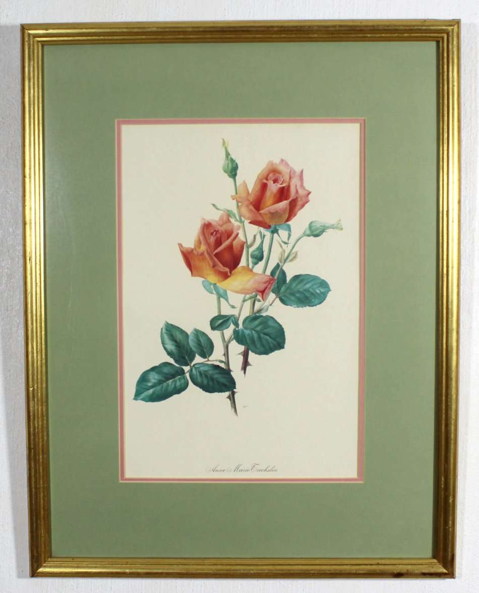 Anne Marie Grechslin - Rose print
