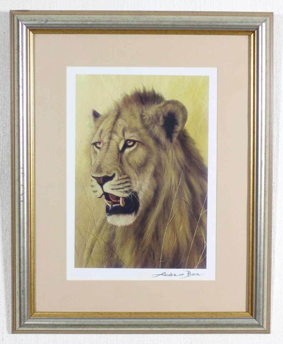 Andrew Bone - Lion - Serigraph - With COA - Beautiful!! - Low price! - Bid now!!