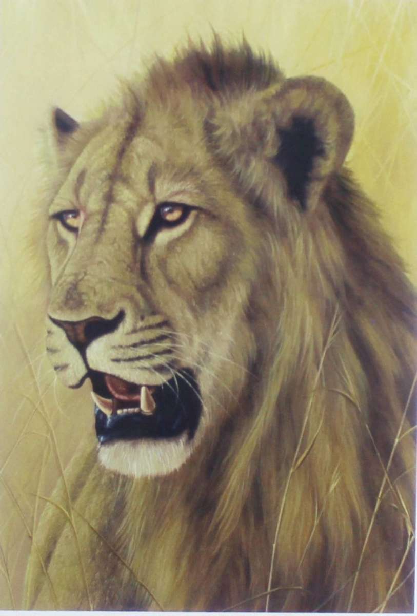 Andrew Bone - Lion - Serigraph - With COA - Beautiful!! - Low price! - Bid now!!