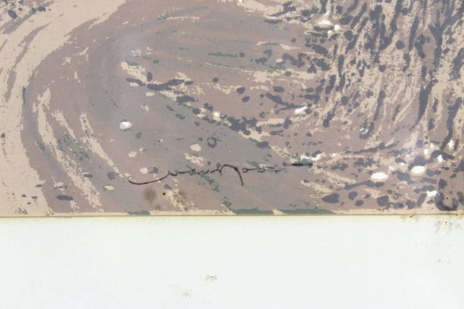 Van Noordt - Swartland - Oliograph? - A beautiful piece!! - Bid now!!